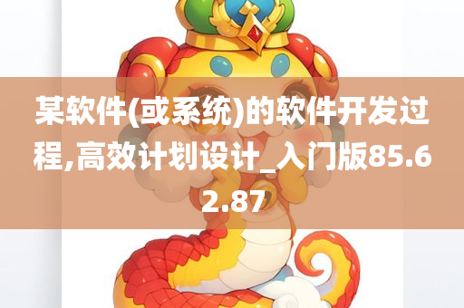 某软件(或系统)的软件开发过程,高效计划设计_入门版85.62.87