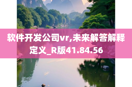 软件开发公司vr,未来解答解释定义_R版41.84.56