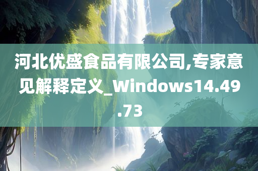 河北优盛食品有限公司,专家意见解释定义_Windows14.49.73