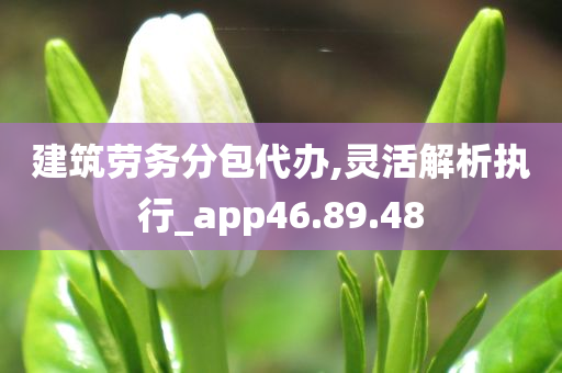 建筑劳务分包代办,灵活解析执行_app46.89.48