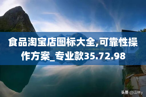 食品淘宝店图标大全,可靠性操作方案_专业款35.72.98