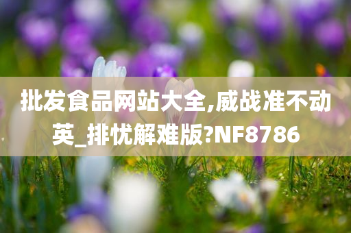 批发食品网站大全,威战准不动英_排忧解难版?NF8786