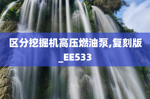 区分挖掘机高压燃油泵,复刻版_EE533