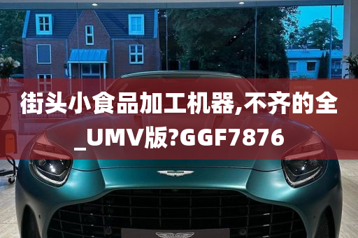 街头小食品加工机器,不齐的全_UMV版?GGF7876