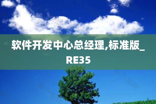 软件开发中心总经理,标准版_RE35