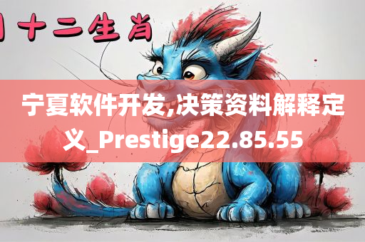 宁夏软件开发,决策资料解释定义_Prestige22.85.55