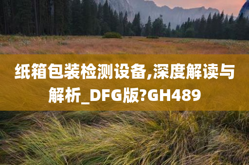 纸箱包装检测设备,深度解读与解析_DFG版?GH489