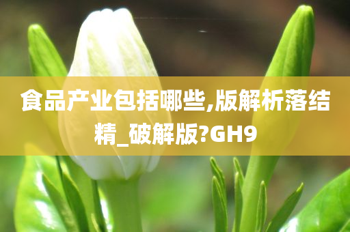 食品产业包括哪些,版解析落结精_破解版?GH9