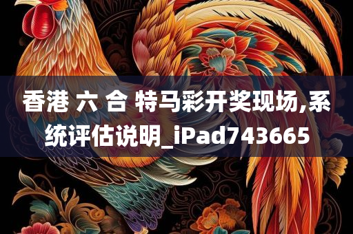 香港 六 合 特马彩开奖现场,系统评估说明_iPad743665