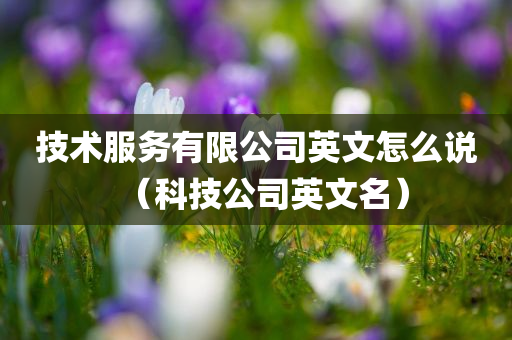 技术服务有限公司英文怎么说（科技公司英文名）