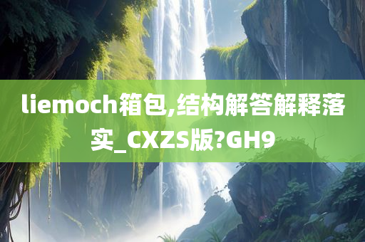 liemoch箱包,结构解答解释落实_CXZS版?GH9