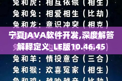 宁夏JAVA软件开发,深度解答解释定义_LE版10.46.45