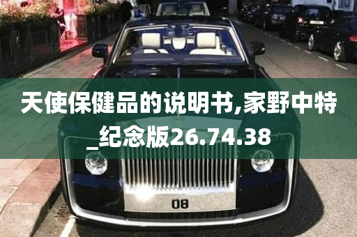 天使保健品的说明书,家野中特_纪念版26.74.38