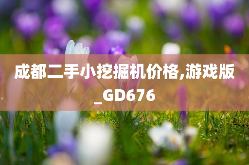 成都二手小挖掘机价格,游戏版_GD676