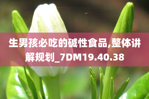 生男孩必吃的碱性食品,整体讲解规划_7DM19.40.38