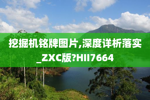 挖掘机铭牌图片,深度详析落实_ZXC版?HII7664