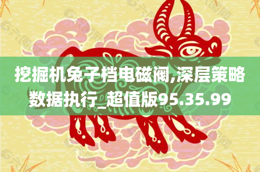 挖掘机兔子档电磁阀,深层策略数据执行_超值版95.35.99