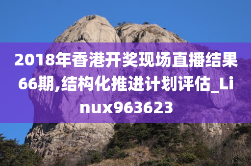 2018年香港开奖现场直播结果66期,结构化推进计划评估_Linux963623