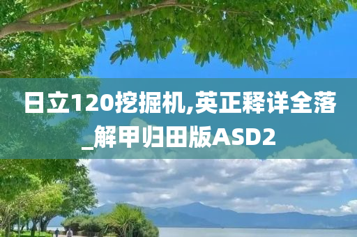 日立120挖掘机,英正释详全落_解甲归田版ASD2