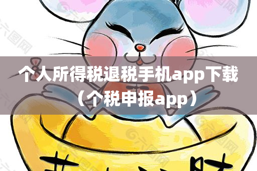 个人所得税退税手机app下载（个税申报app）