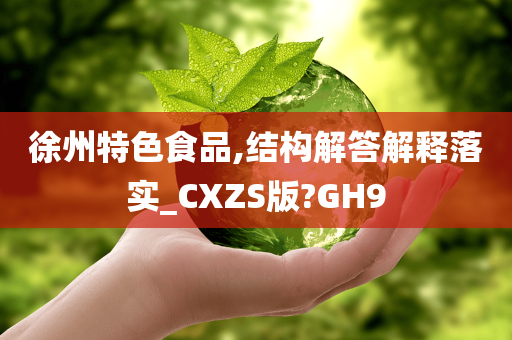 徐州特色食品,结构解答解释落实_CXZS版?GH9