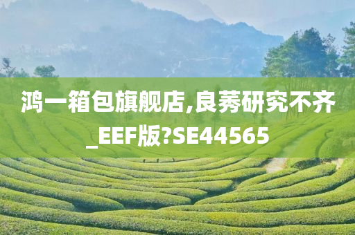 鸿一箱包旗舰店,良莠研究不齐_EEF版?SE44565