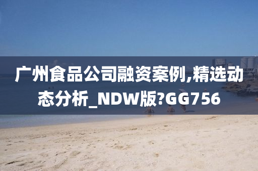 广州食品公司融资案例,精选动态分析_NDW版?GG756