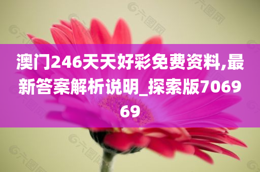 澳门246天天好彩免费资料,最新答案解析说明_探索版706969