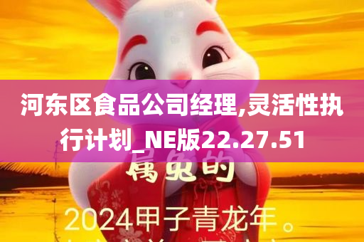 河东区食品公司经理,灵活性执行计划_NE版22.27.51