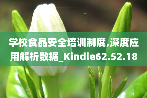 学校食品安全培训制度,深度应用解析数据_Kindle62.52.18