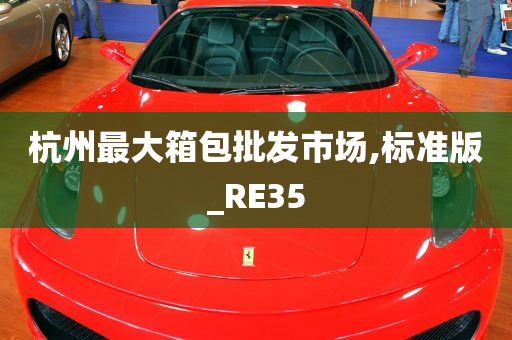 杭州最大箱包批发市场,标准版_RE35