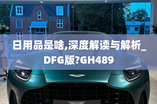 日用品是啥,深度解读与解析_DFG版?GH489