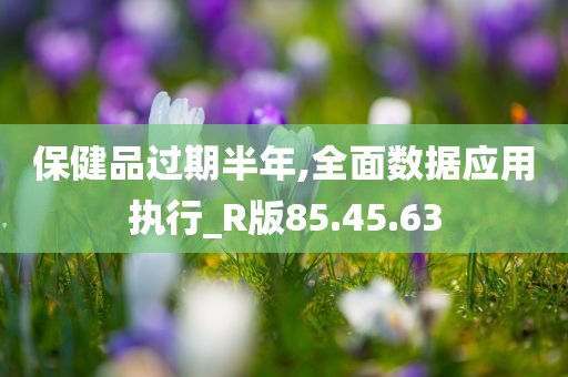 保健品过期半年,全面数据应用执行_R版85.45.63