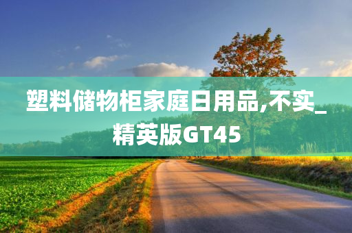 塑料储物柜家庭日用品,不实_精英版GT45