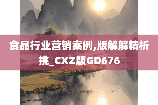 食品行业营销案例,版解解精析挑_CXZ版GD676