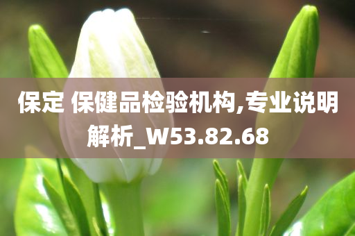 保定 保健品检验机构,专业说明解析_W53.82.68