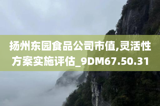 扬州东园食品公司市值,灵活性方案实施评估_9DM67.50.31