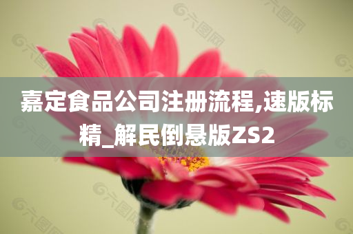 嘉定食品公司注册流程,速版标精_解民倒悬版ZS2