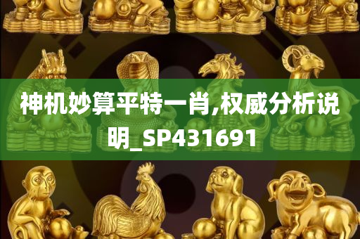 神机妙算平特一肖,权威分析说明_SP431691