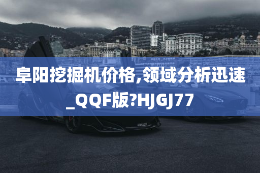 阜阳挖掘机价格,领域分析迅速_QQF版?HJGJ77