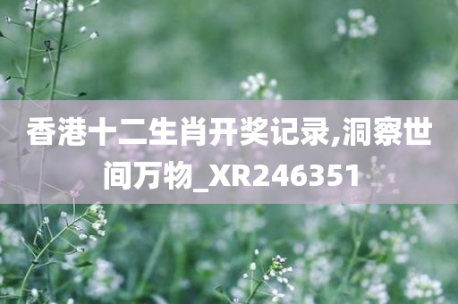 香港十二生肖开奖记录,洞察世间万物_XR246351