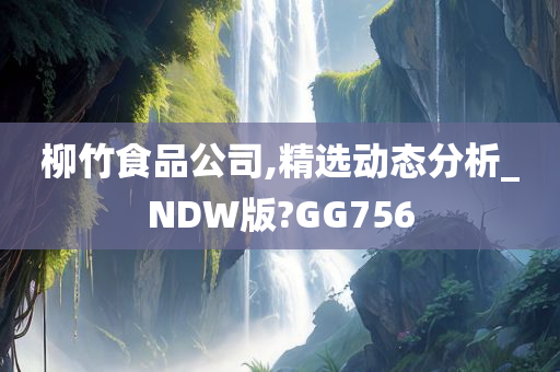 柳竹食品公司,精选动态分析_NDW版?GG756