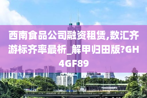 西南食品公司融资租赁,数汇齐游标齐率最析_解甲归田版?GH4GF89