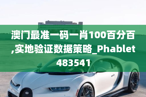 澳门最准一码一肖100百分百,实地验证数据策略_Phablet483541