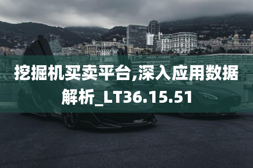 挖掘机买卖平台,深入应用数据解析_LT36.15.51