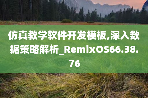 仿真教学软件开发模板,深入数据策略解析_RemixOS66.38.76