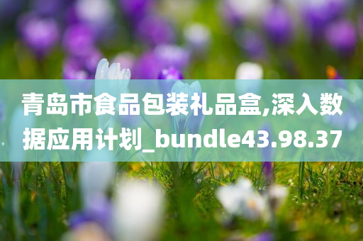 青岛市食品包装礼品盒,深入数据应用计划_bundle43.98.37