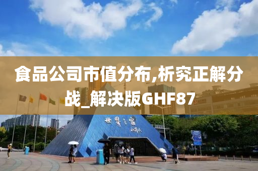 食品公司市值分布,析究正解分战_解决版GHF87