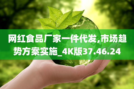 网红食品厂家一件代发,市场趋势方案实施_4K版37.46.24