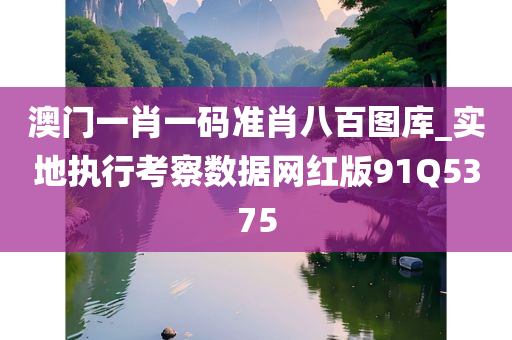 澳门一肖一码准肖八百图库_实地执行考察数据网红版91Q5375